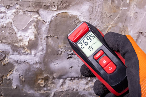 Professional Mold Removal in Atlantis, FL
